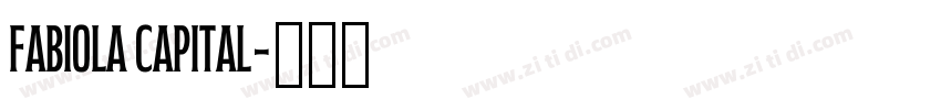 Fabiola Capital字体转换